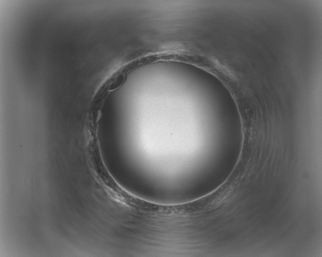 X0000068311400200604241351