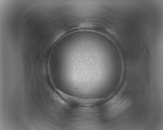 X0000068311401200604241351