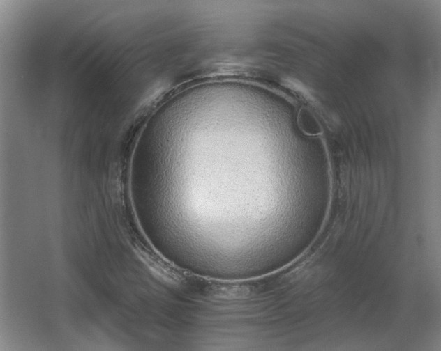 X0000068311403200604241351