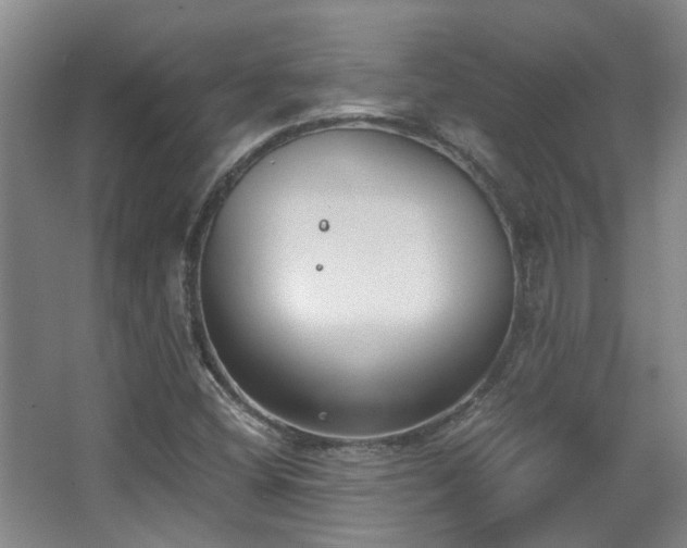 X0000068311404200604241351