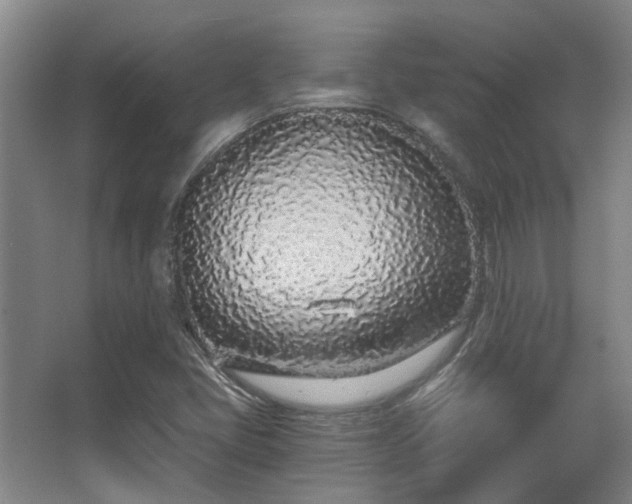 X0000068311405200604241351