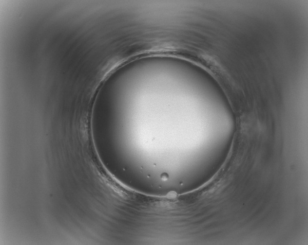 X0000068311409200604241351