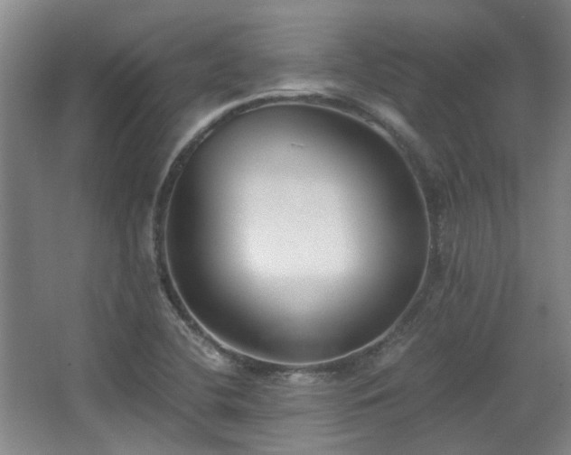 X0000068311412200604241351