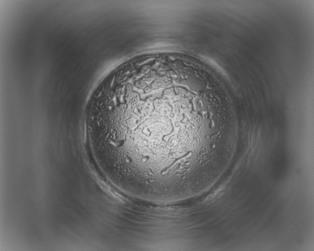 X0000068311413200604241351