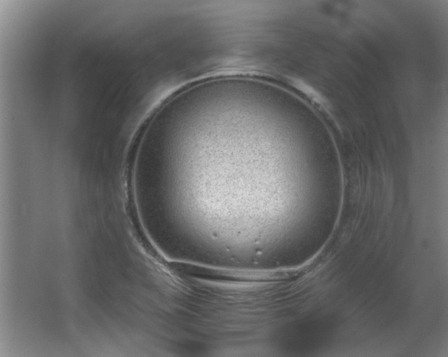 X0000068311415200604241351