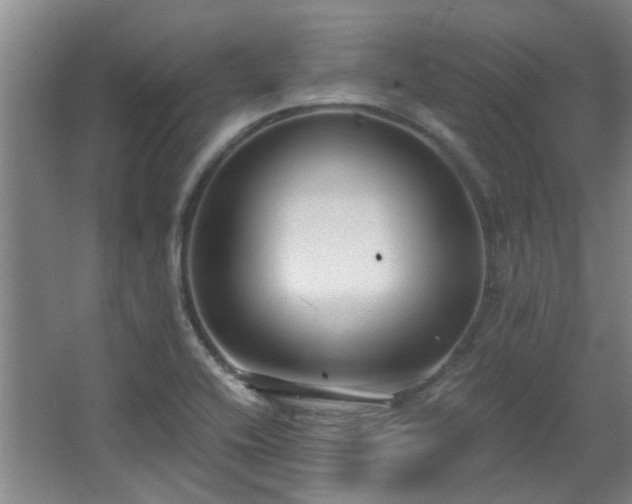 X0000068311416200604241351