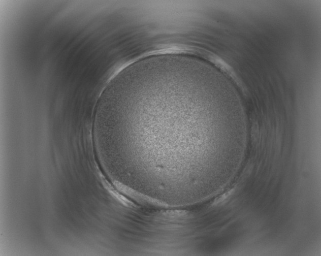 X0000068311417200604241351