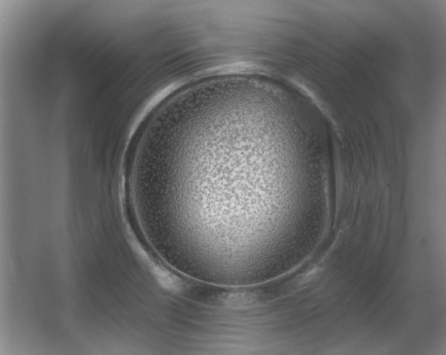 X0000068311418200604241351