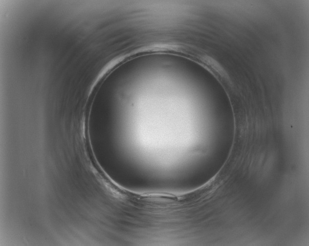 X0000068311420200604241351