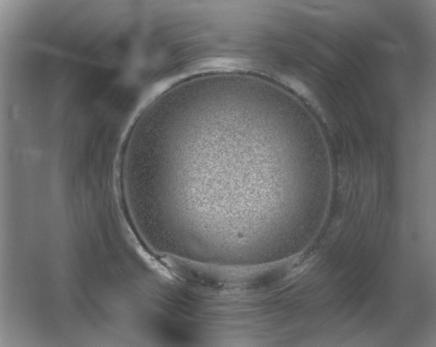 X0000068311421200604241351