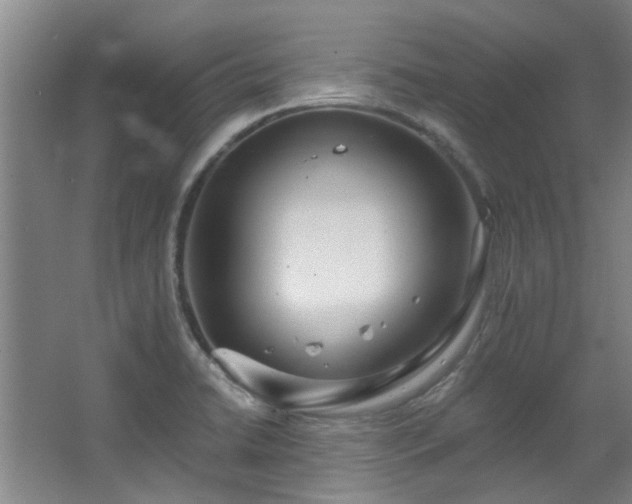 X0000068311422200604241351