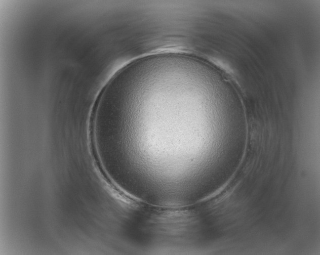 X0000068311423200604241351