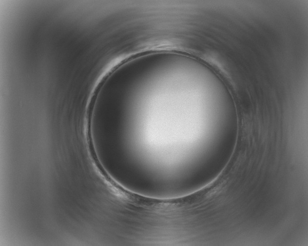 X0000068311424200604241351