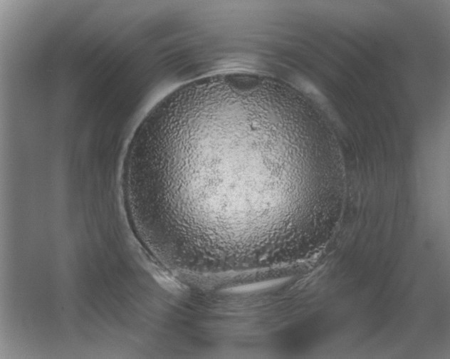 X0000068311427200604241351