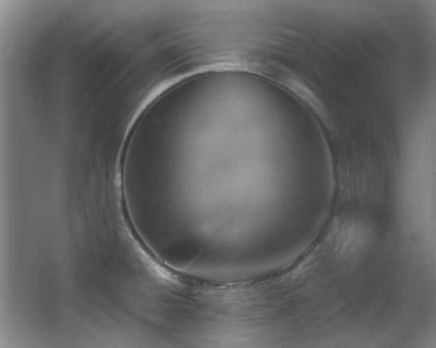 X0000068311428200604241351