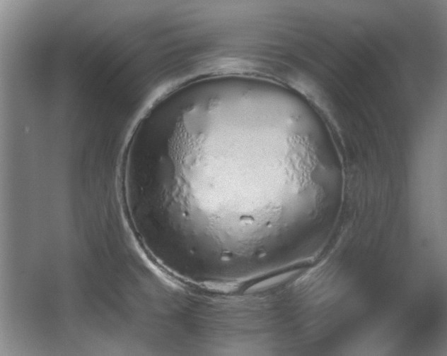 X0000068311429200604241351