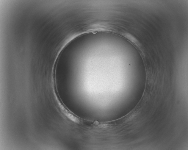 X0000068311431200604241351