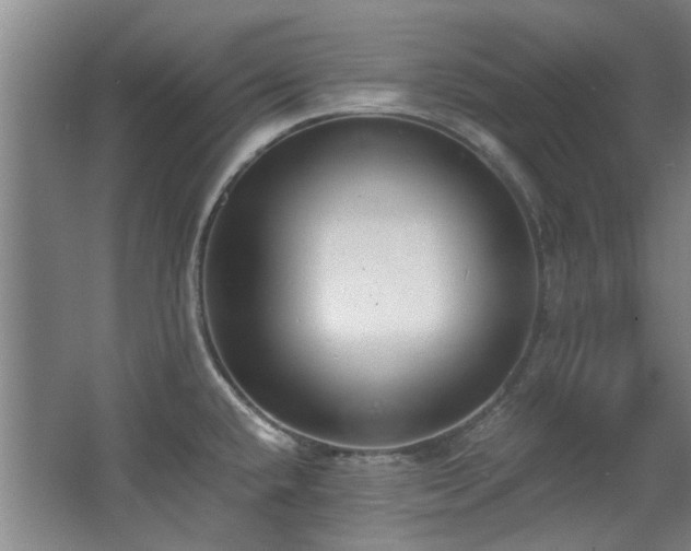 X0000068311432200604241351