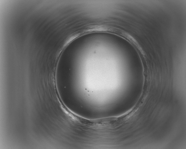 X0000068311433200604241351