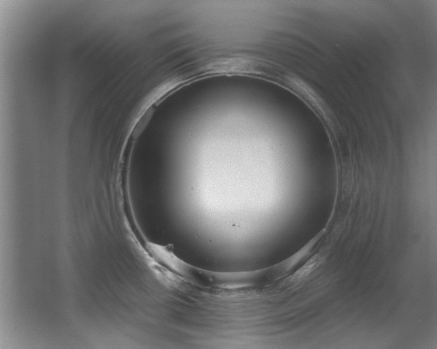 X0000068311434200604241351