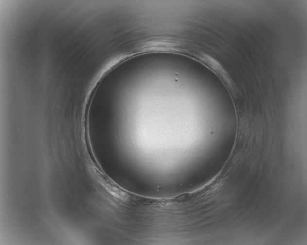 X0000068311435200604241351