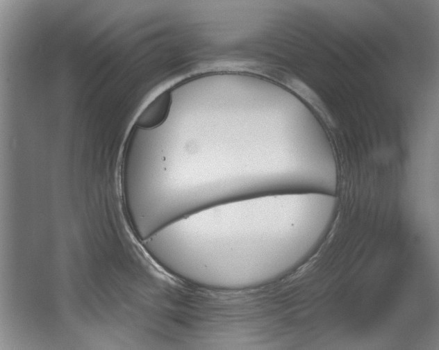 X0000068311436200604241351