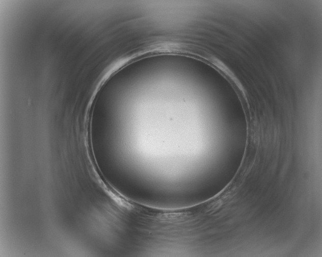 X0000068311437200604241351