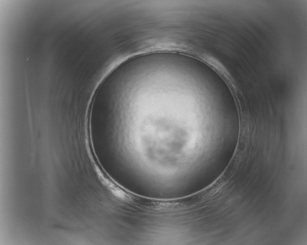 X0000068311439200604241351