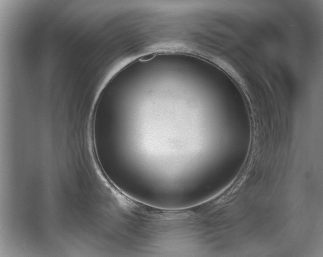 X0000068311440200604241352