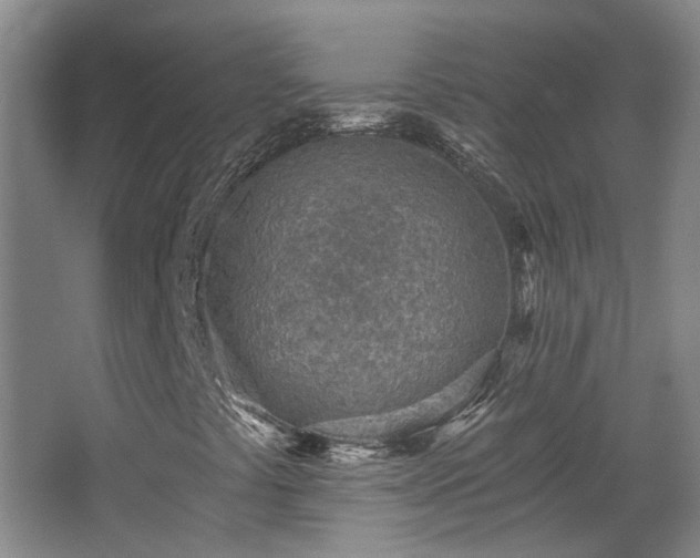 X0000068311441200604241351