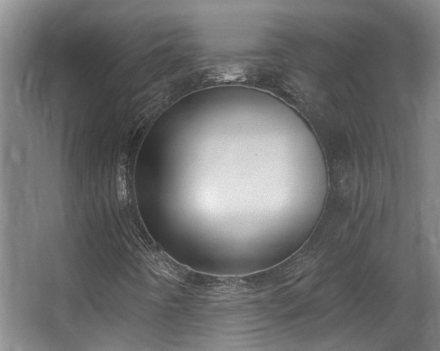 X0000068311442200604241351