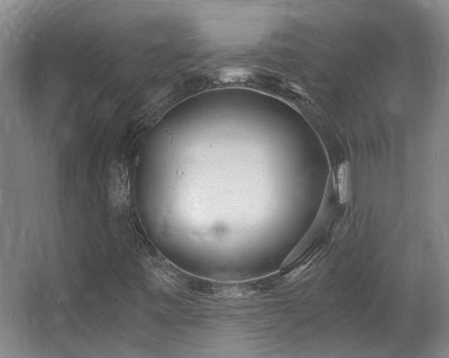 X0000068311443200604241351