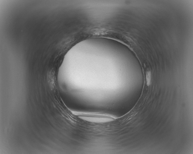 X0000068311444200604241351