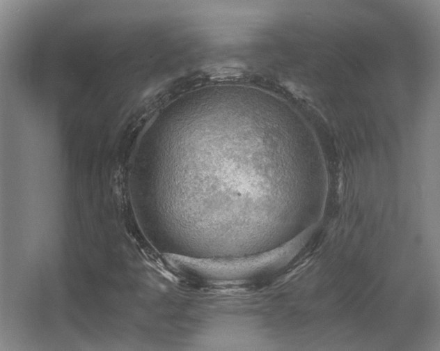 X0000068311445200604241351