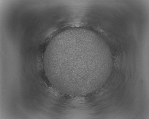 X0000068311446200604241351