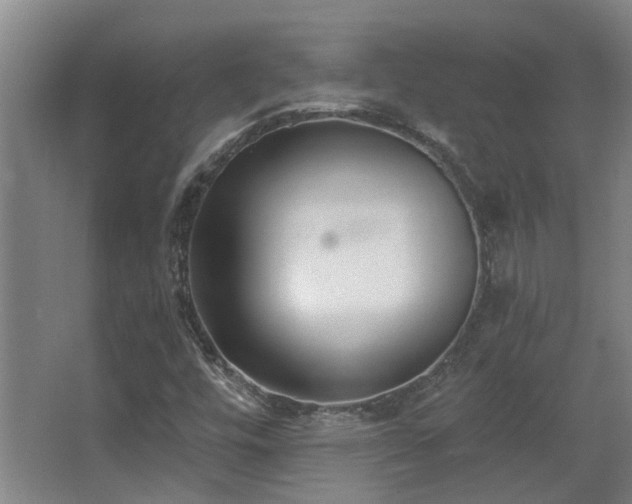 X0000068311448200604241351