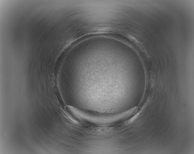 X0000068311449200604241351