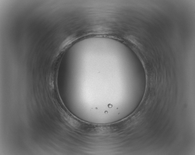 X0000068311451200604241351