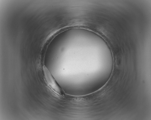 X0000068311452200604241351