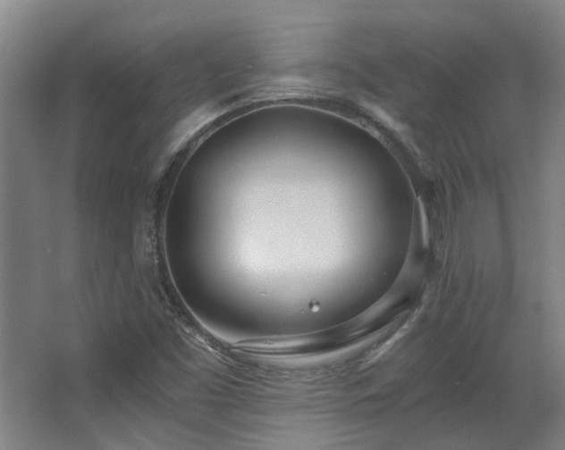 X0000068311453200604241351