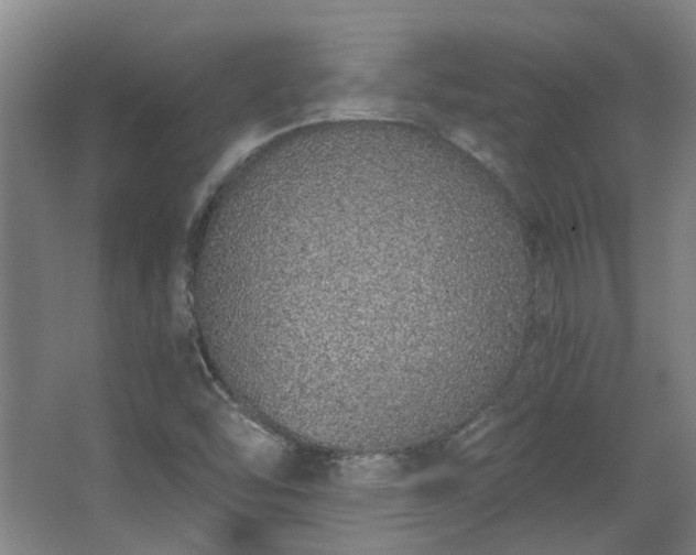 X0000068311454200604241350