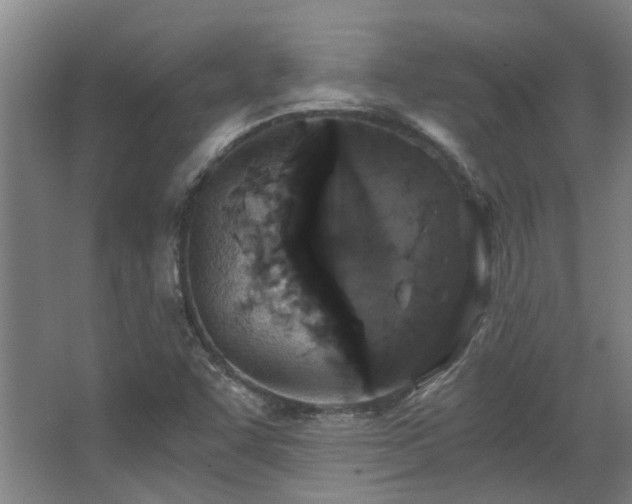 X0000068311455200604241350