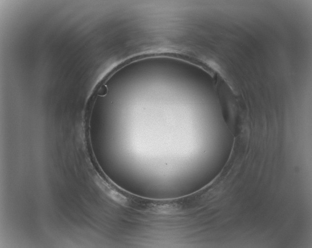 X0000068311460200604241350