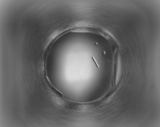 X0000068311461200604241350