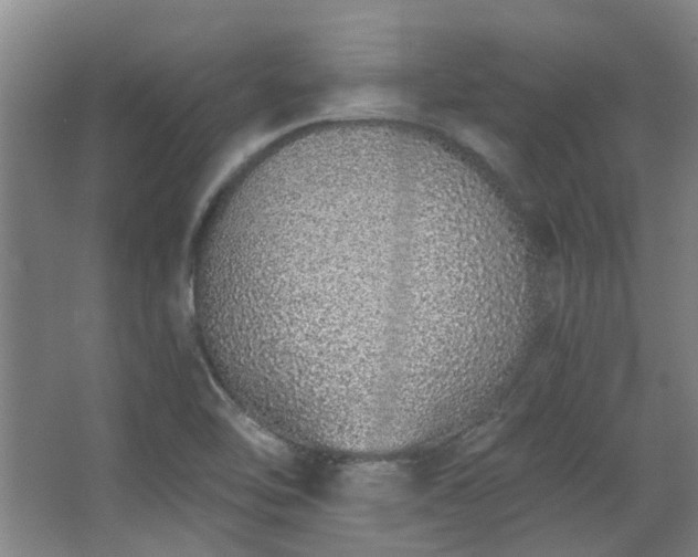 X0000068311462200604241350