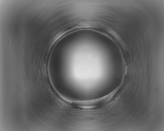 X0000068311465200604241350