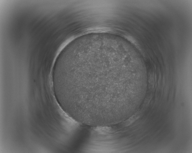 X0000068311466200604241350