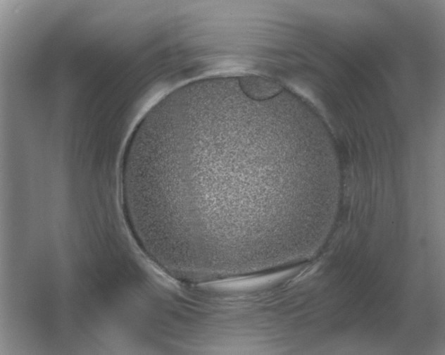 X0000068311467200604241350