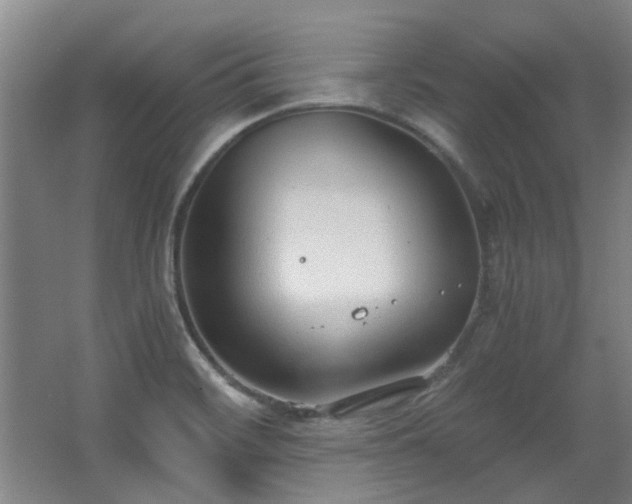 X0000068311468200604241350