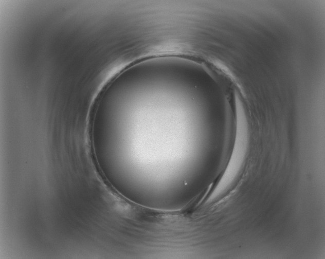 X0000068311469200604241350